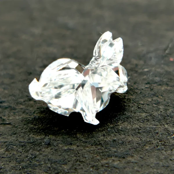 Rabbit - Image 2